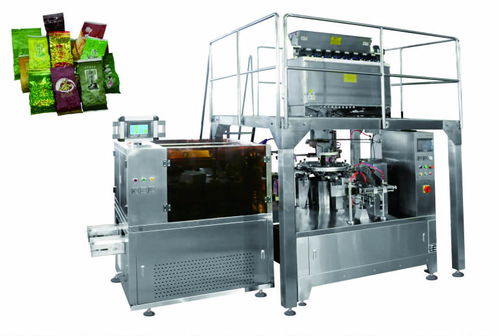 给袋式包装机 旋转全自动给袋式真空包装机与水平包装机详解